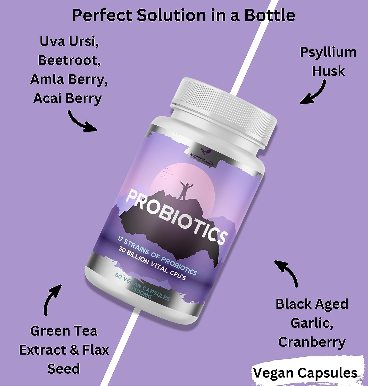 Probiotic Complete Blend - 30B CFU - 17 Unique Live Bacterial Cultures with Prebiotics